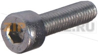 SPOUT SCREW