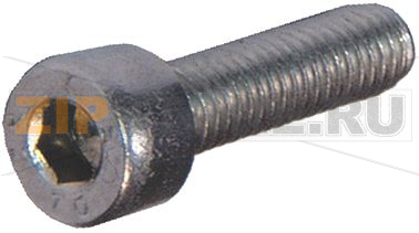SPOUT SCREW 
