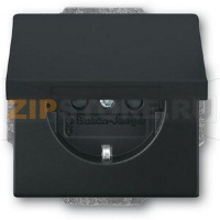 Розетка 16 А, 250 В, чёрный бархат ABB 2820.48