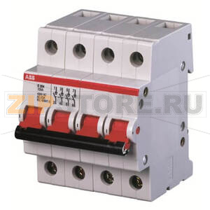 Рубильник четырехполюсный 80 A, E204/80G ABB 2CDE284001R1080 
