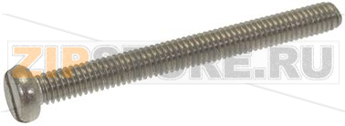 VITE A TESTA CILINDRICA M4x40 