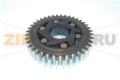 INGRANAGGIO                PLT 30LT 