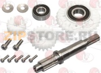 GRUPPO ALBERO COMPLETO