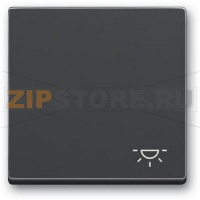Клавиша выключателя c символом "Свет", антрацитовая ABB 2CKA001751A3186