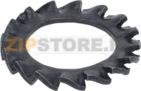 Toothed Washer D. 12,5