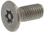 VITE SVASATA INOX M5x12 PRESA TORX 