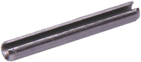 SPINA ELASTICA