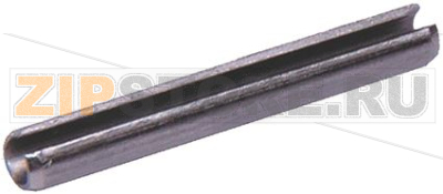 SPINA ELASTICA 