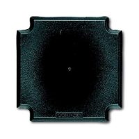 Цоколь для монтажной коробки скрытой установки 1710 ABB 2CKA001764A0224