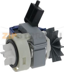 DRAIN PUMP ZANUSSI 