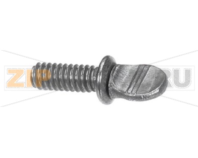 SCREW 1/4-20X5/8 THUMB SS 