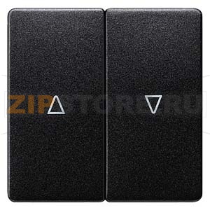 DELTA I-SYSTEM ЧЕРНЫЙ МЕТАЛЛИК ВЫКЛЮЧАТЕЛЬ ЖАЛЮЗИ 2 КЛАВИШИ С СИМВОЛОМ &quot;ВВЕРХ/ВНИЗ&quot; 55X55MM Siemens 5TG6234 