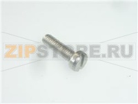 VITE A TESTA CILINDRICA M3,5x10