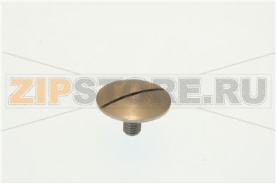 VITE CROMATA T.32  BARRA TONDA 