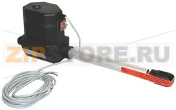 ПОДЪЕМНЫЙ ЦИЛИНДР ДЛЯ ТИГЛЯ TJ200 Gas 24V RATIONAL 40.00.630 