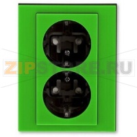 Розетка двойная, зелёный/дымчатый чёрный ABB 2CHH223457C6067