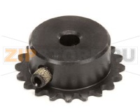 PIGNONE CON VITE DI FERMO, 25B20, FORO