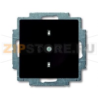 Розетка ABB 2CKA002013A5338