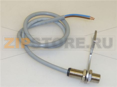 GRUPPO MICRO MAGNATICO 
