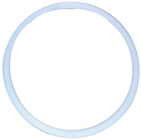 PTFE BOILER GASKET
