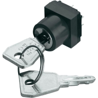 Переключатель ключевой 42 В, 0.1 А, 1 x выкл/вкл, 1x90°, 1 шт Rafi 3.13.009.903/0000