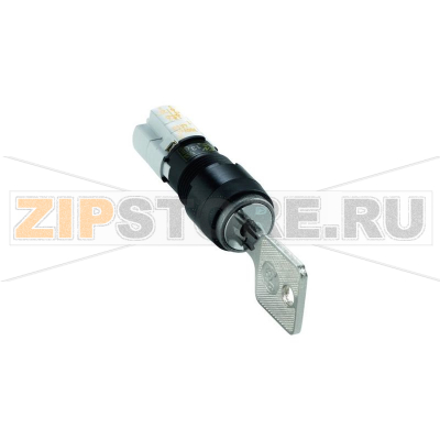 Переключатель ключевой 250 В/AC, 4 А, 1 x выкл/вкл, 1x45°, 2 шт Rafi 1.15.108.941/0000 