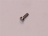 Cylinder head screw M4 x 10   slit
