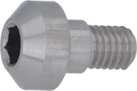 SCREW ST. STEEL M5x4+6