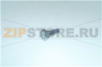 Screw m6s 5x12 steel fzb