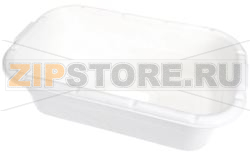 PLASTIC LUG W/HOLE, WHITE 