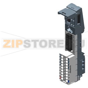 SIMATIC ET 200SP, базовый блок BU20-P16+A0+2D, BU типа U0, упаковка: 10 шт., втычные клеммы  Push-in, без вспомогательных клемм AUX, новая нагрузочная группа, ШхВ: 20 мм x 117 мм Siemens 6ES7193-6BP00-2DU0 