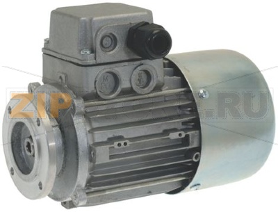 MOTORE 0,09KW 230/400V 50/60Hz 