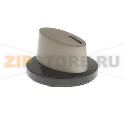 MANOPOLA FORNO BOSCH 00425219 