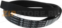 ЗУБЧАТЫЙ РЕМЕНЬ POLY V 7PJE1309
