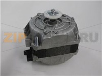 MOTORE AD ALBERO CORTO