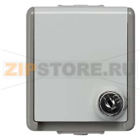DELTA FLACHE 2 РОЗЕТКИ SCHUKO С КРЫШКОЙ 10A DC/16А AC 250В IP44 НАВЕСНОГО МОНТАЖА БРЫЗГОЗАЩИЩЕННАЯ С ЗАМКОМ Siemens 5UB4716