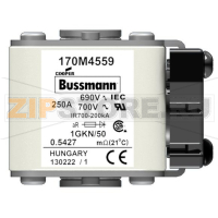 Предохранитель, 250 A, AC 690 В, 200 кА, size 1, 53x69x51 мм, aR, IEC Eaton FUSE 250A 690V 1GKN
