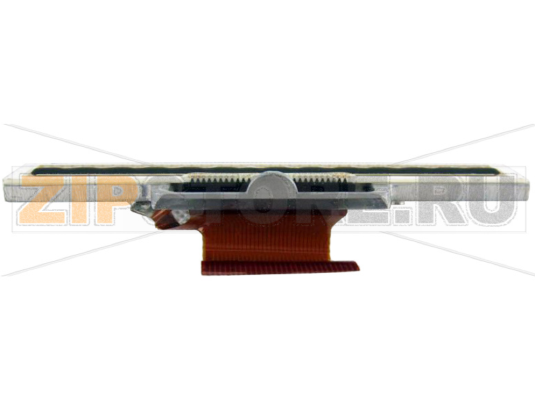 Печатающая термоголовка Zebra RW 420 (203dpi) Печатающая термоголовка Zebra RW 420 Printhead - 203dpi. Термопечатающая головка для принтеров Zebra RW 420. Разрешающая способность термоголовки - 203 dpi. Тип печати: прямая и термотрансферная. 