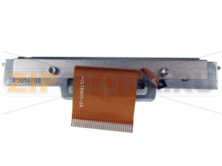 Печатающая термоголовка Zebra RW 420 (203dpi) Печатающая термоголовка Zebra RW 420 Printhead - 203dpi. Термопечатающая головка для принтеров Zebra RW 420. Разрешающая способность термоголовки - 203 dpi. Тип печати: прямая и термотрансферная. 