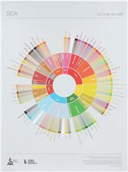 THE COFFEE TASTER&#039;S FLAVOR WHEEL 