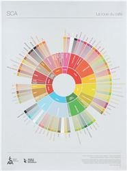 THE COFFEE TASTER&#039;S FLAVOR WHEEL 