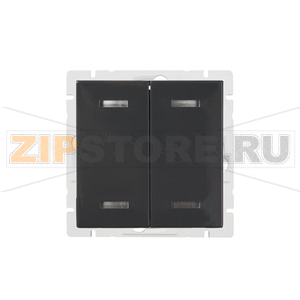 Кнопка нажимная с подсветкой, 4 клавиши, антрацититовая ABB 2TKA00000913 