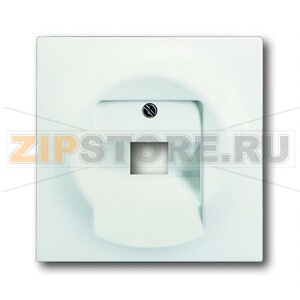 Накладка для однопостовой розетки с полем для надписи ABB 2CKA001753A0194 