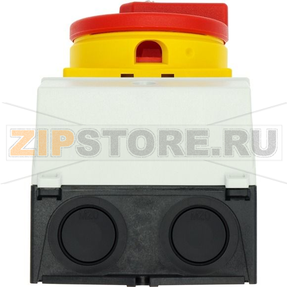 Выключатели главные, P1, 32 A, монтаж на поверхность, 3-полюсн Eaton P1-32/I1/SVB 