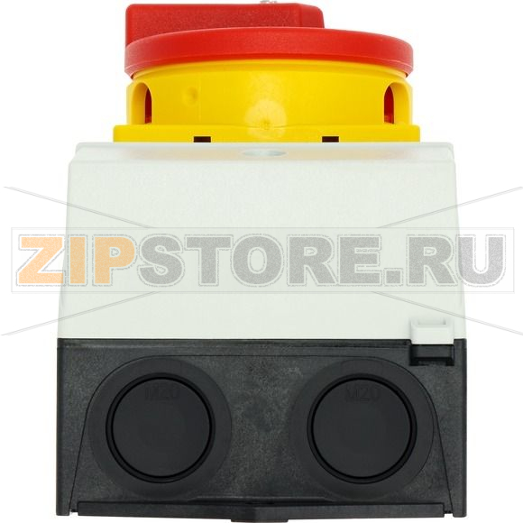 Выключатели главные, P1, 32 A, монтаж на поверхность, 3-полюсн Eaton P1-32/I1/SVB 