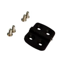 Plastic hinge
