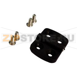 Plastic hinge 