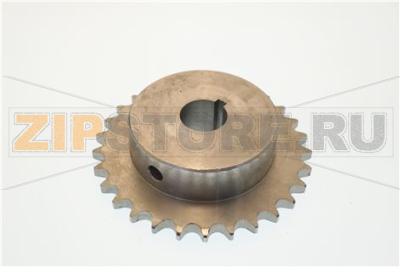 PIGNONE Z29 ½ F.25 