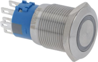 SWITCH TWO-POLE SILVER 12V 21/1W