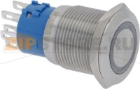 SWITCH TWO-POLE SILVER 12V 21/1W